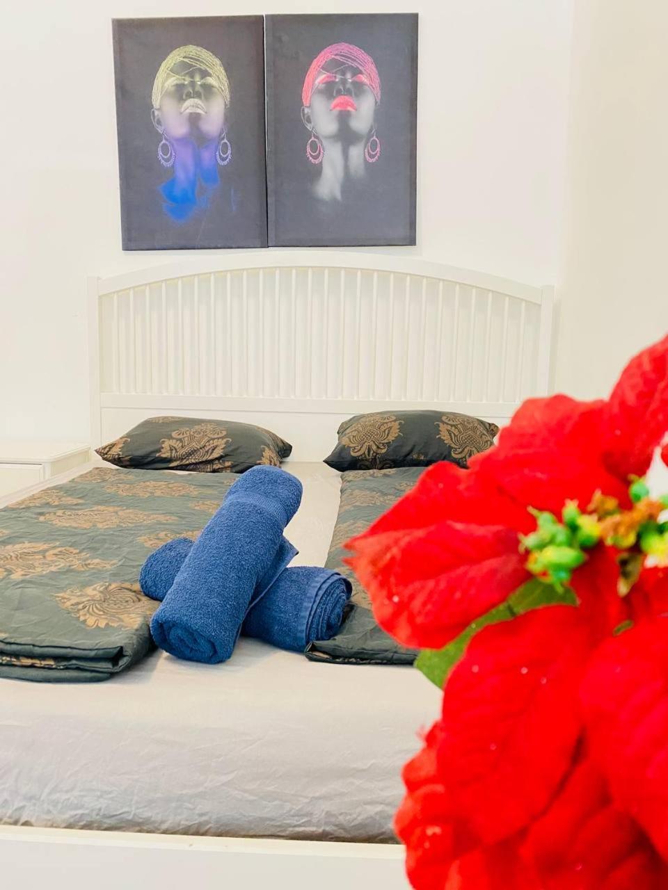 דירות וינה Cozy Studio Lg מראה חיצוני תמונה