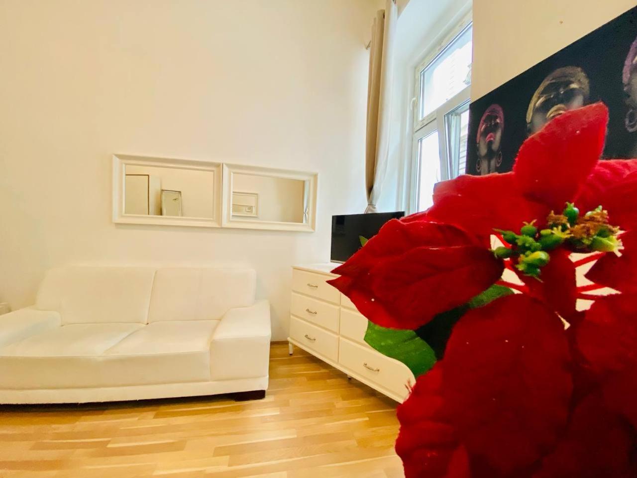 דירות וינה Cozy Studio Lg מראה חיצוני תמונה